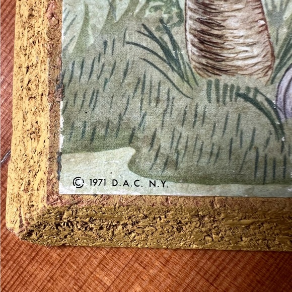 Vintage Cottagecore Mushroom Botany Litho Art Print 1971 USA made - Picture 2 of 12